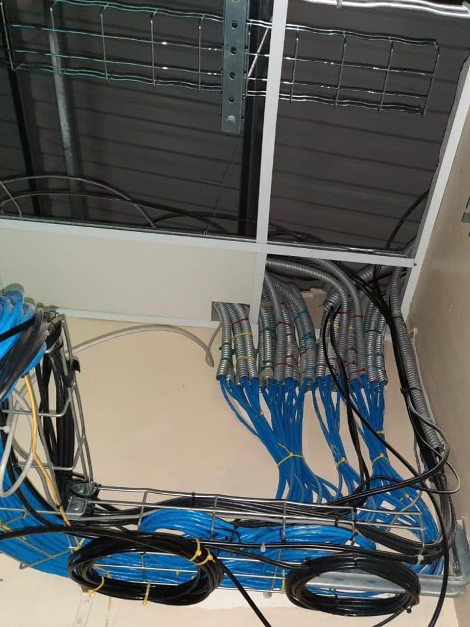 Cableado en canaleta durante la obra
